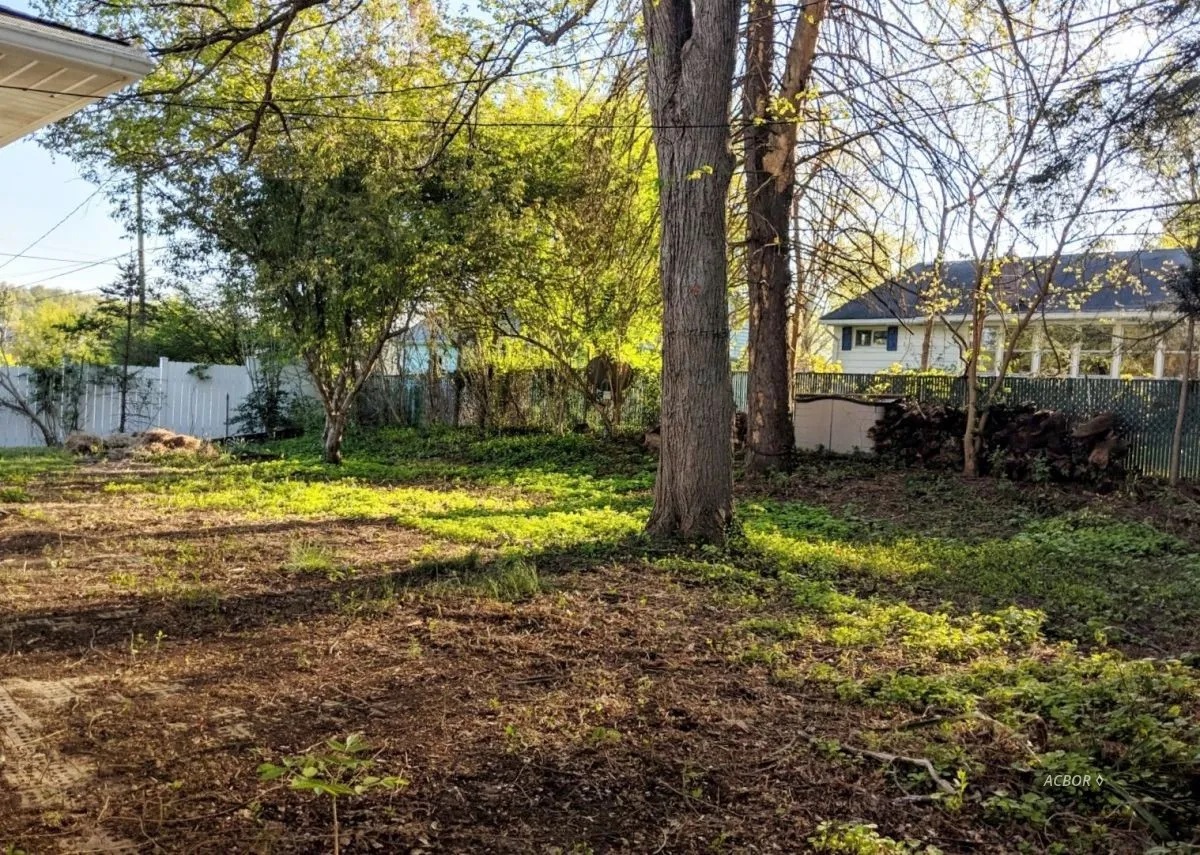 Back yard